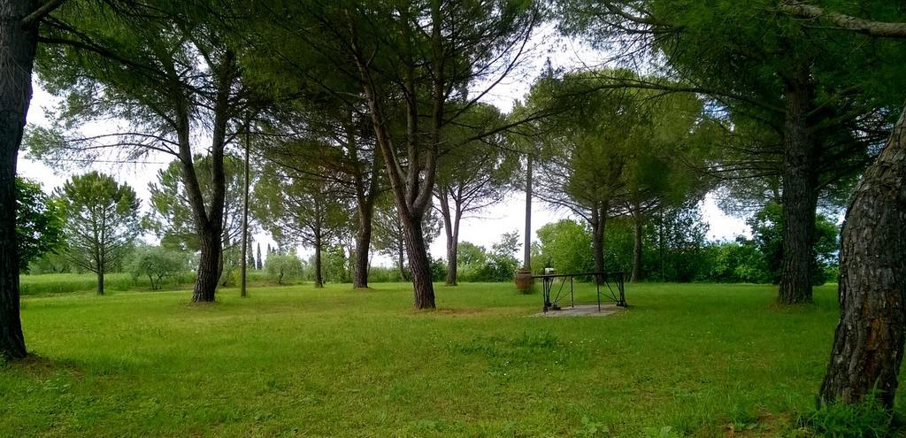 Agriturismo Podere Caggiolo - Swimming Pool & Air Conditioning Marciano della Chiana 外观 照片