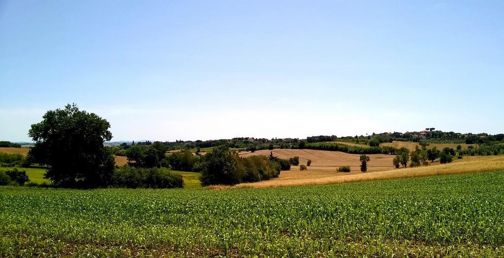 Agriturismo Podere Caggiolo - Swimming Pool & Air Conditioning Marciano della Chiana 外观 照片